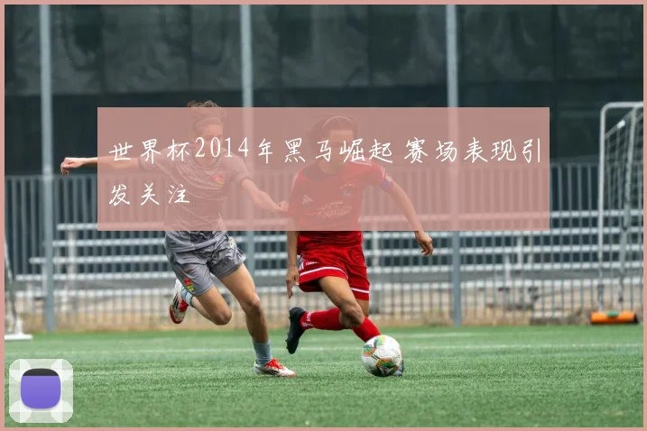 世界杯2014年黑马崛起 赛场表现引发关注