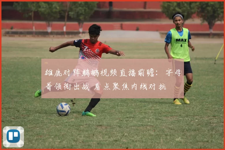 雄鹿对阵鹈鹕视频直播前瞻：字母哥领衔出战 看点聚焦内线对抗