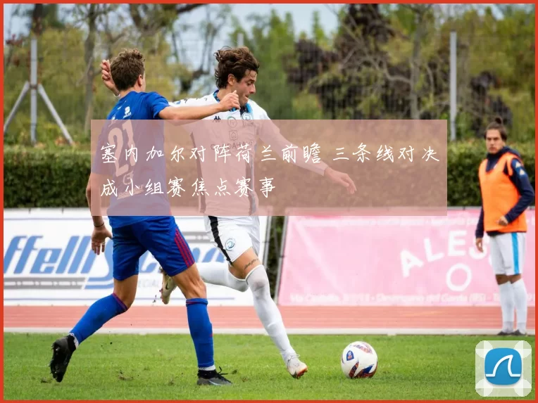 塞内加尔对阵荷兰前瞻 三条线对决成小组赛焦点赛事